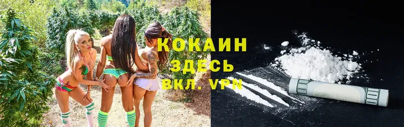 Cocaine FishScale  Вязники 