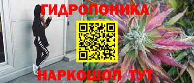 СК Балаково