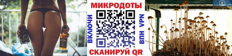 маркетплейс какой сайт  Вязники  Галлюциногенные грибы GOLDEN TEACHER  где можно купить наркотик 