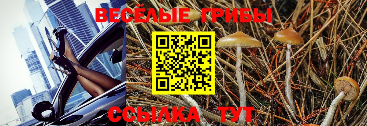 Галлюциногенные грибы ЛСД  Вход с VPN  Вязники 