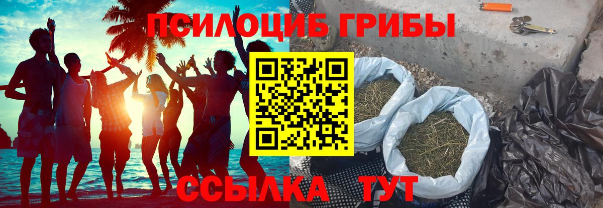 МЕТАДОН Вязники