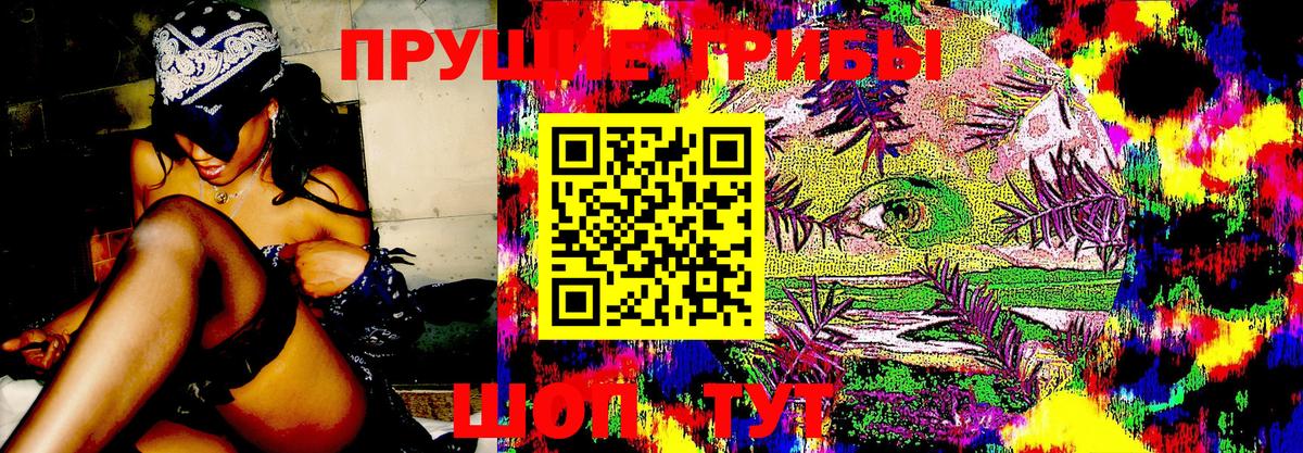 Псилоцибиновые грибы мицелий Вязники